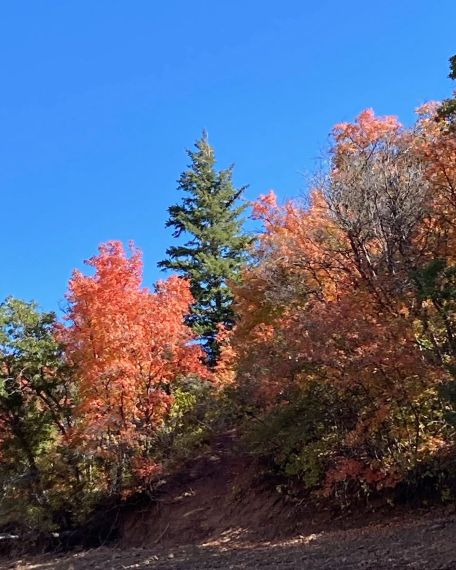 fall colors kayak russell.jpg